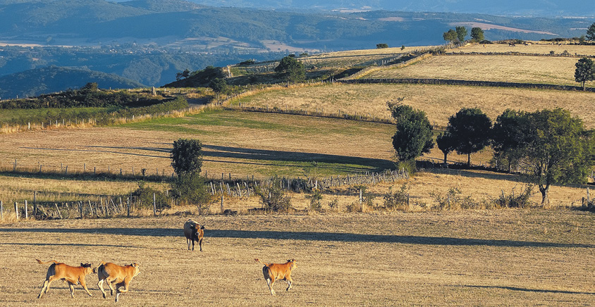 restaurant la rencontre st gregoire