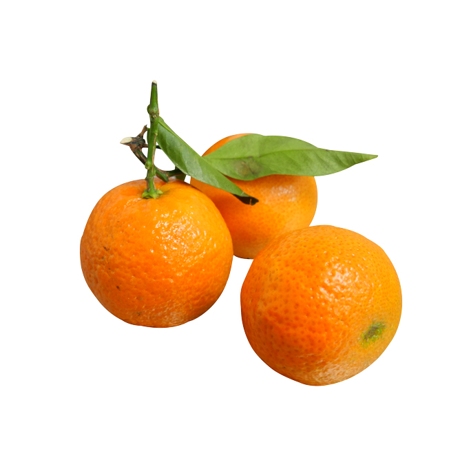 Clémentine Feuille Les Halles de l'Aveyron Les Halles de l'Aveyron